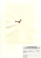 藏品(硬盾果藻)的圖片